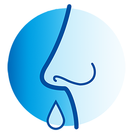 Muqueuse nasale Icon